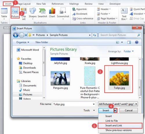 5-effective-ways-to-insert-a-picture-into-your-word-document