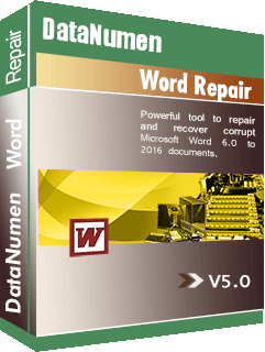 DataNumen Word Repair 5.0 Plan du coffret