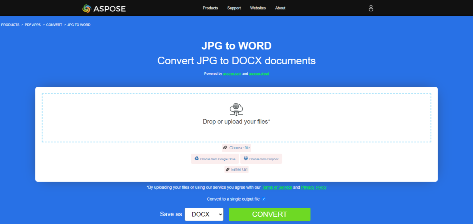 11 meilleurs outils de conversion JPG en Word (2024) [GRATUIT]