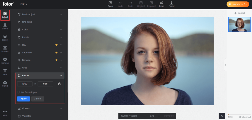 11 Best Image Resizer Tools (2024) [FREE]