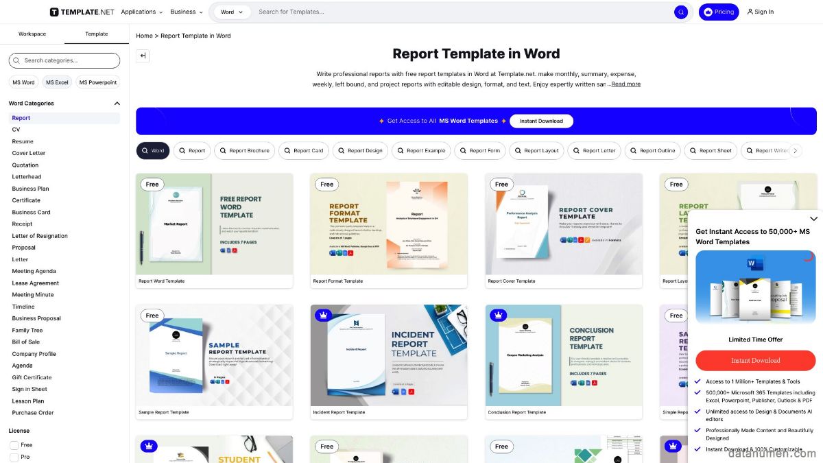 Template.Net Report Template In Word