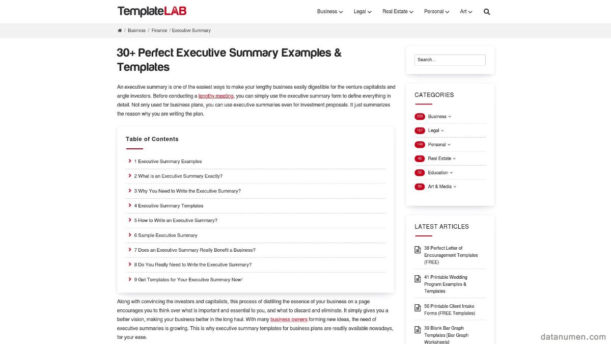 TemplateLab Executive Summary Examples & Templates