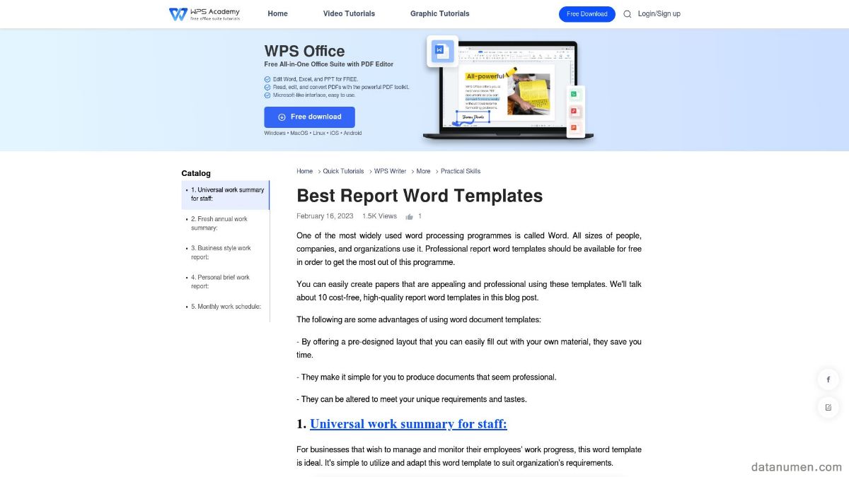 WPS Best Report Word Templates