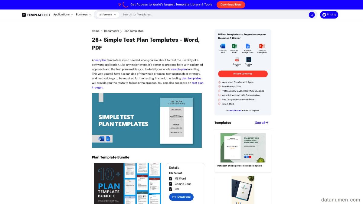 Template.Net Simple Test Plan Templates - Word
