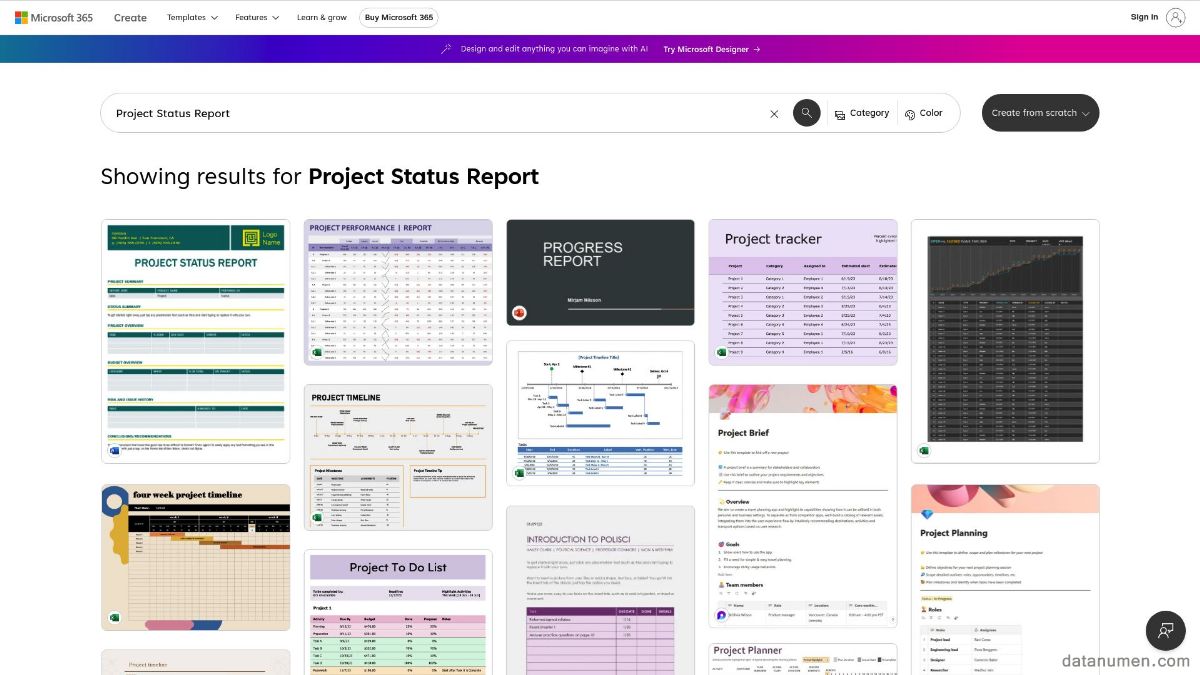 Microsoft Project Status Report
