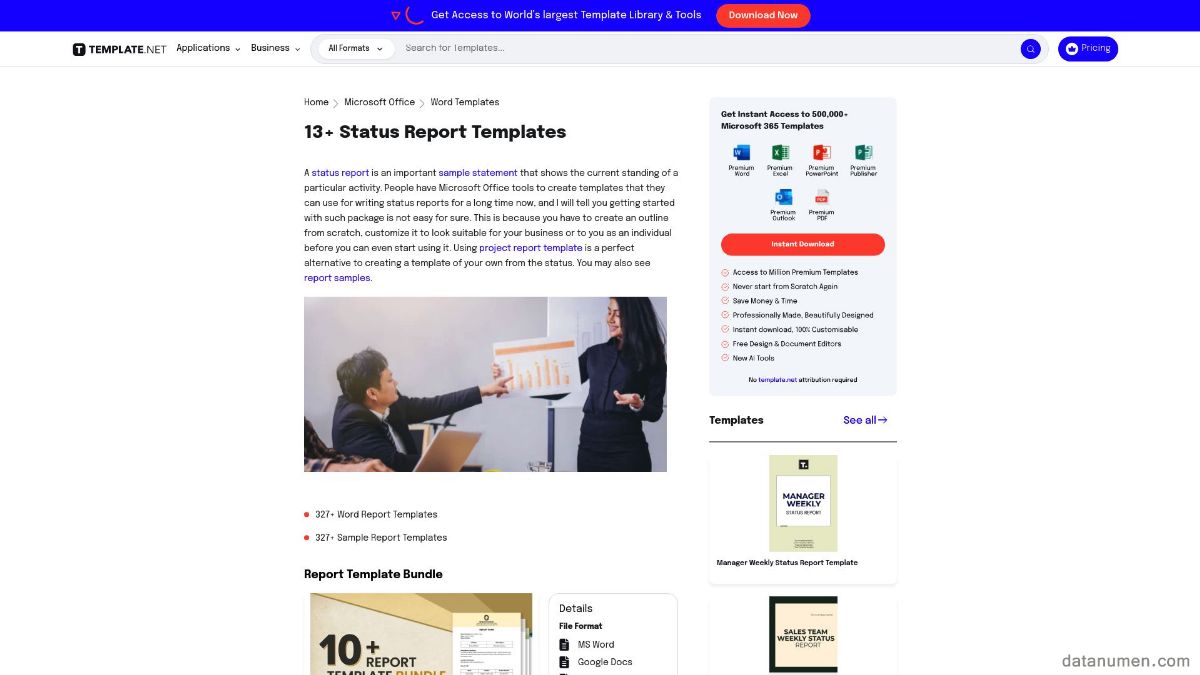 Template.Net Status Report Templates