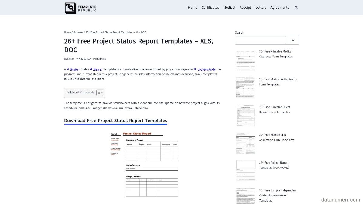 Template Republic Project Status Report Templates – XLS