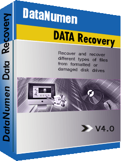 Datanumen Data Recovery 4.0 Captura de caixa