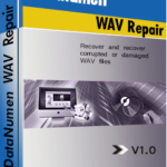 DataNumen WAV Repair 1.0 Boxshot