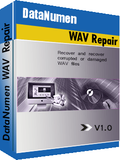 DataNumen WAV Repair 1.0 Boxshot