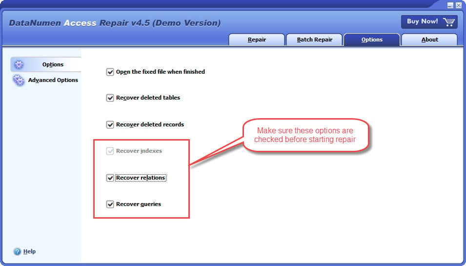 Use DataNumen Access Repair to recover other objects in Access database files, including indexes, relations and queries.