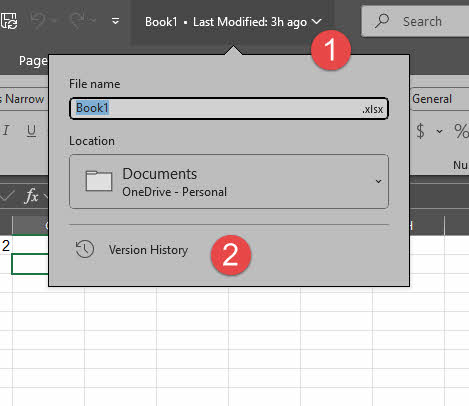 In Excel, open the version history for an auto-saved file on the Cloud drive.